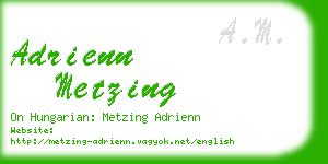 adrienn metzing business card